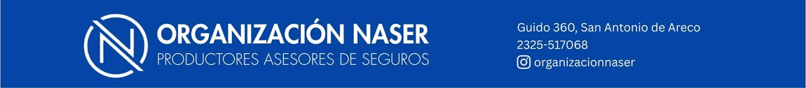 Organización Naser